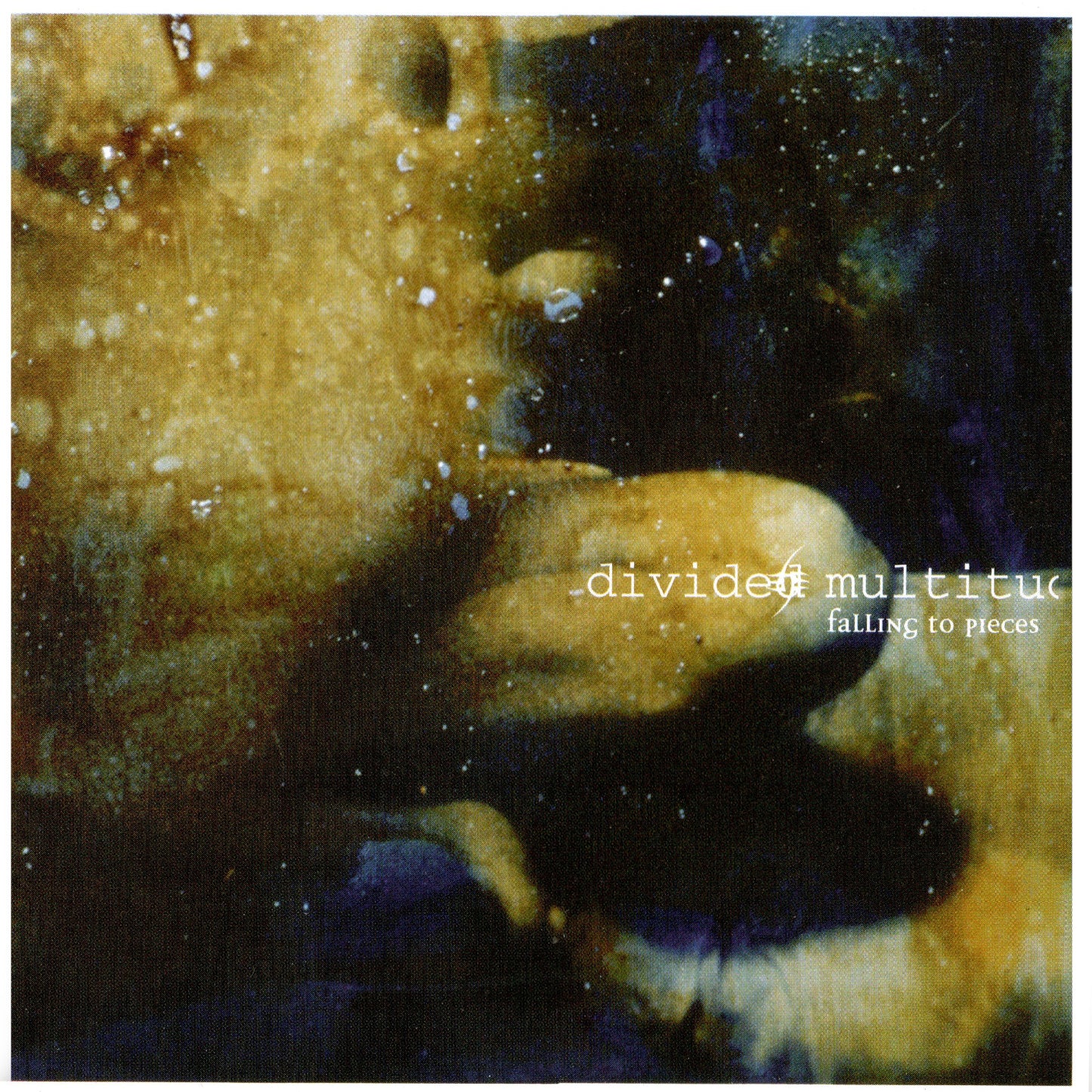 Divided Multitude - Falling To Pieces